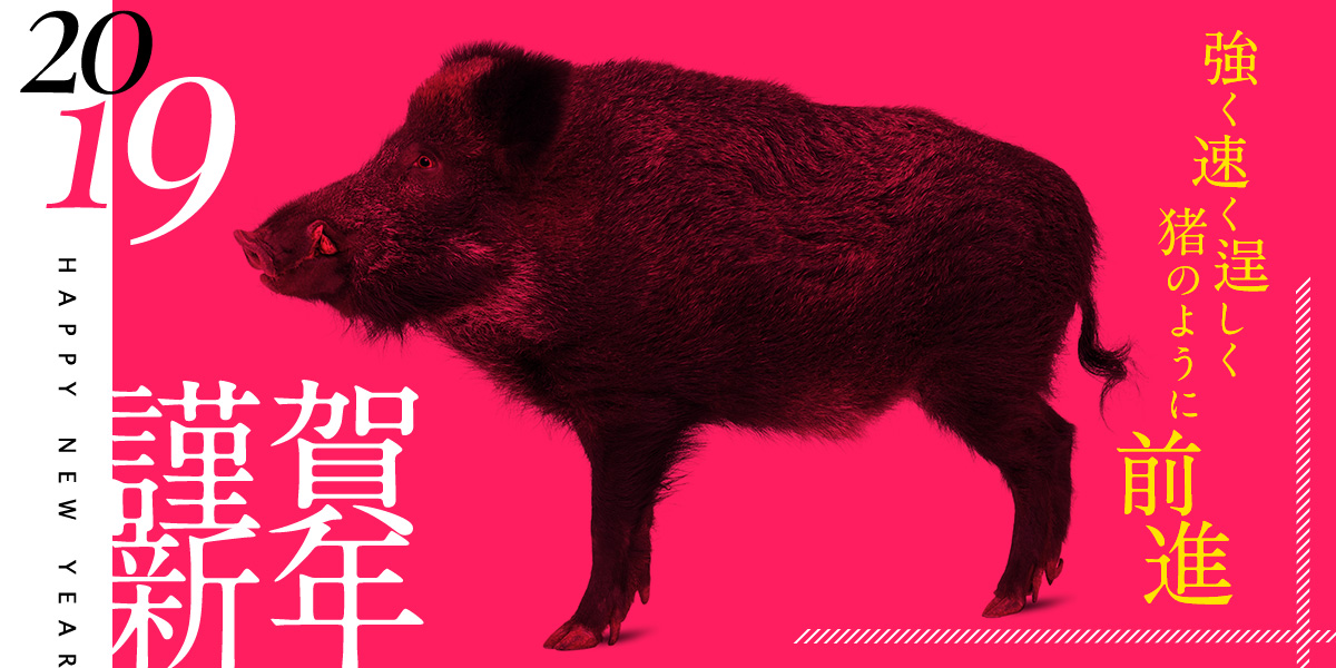 謹賀新年 強く早く逞しく猪のように前進