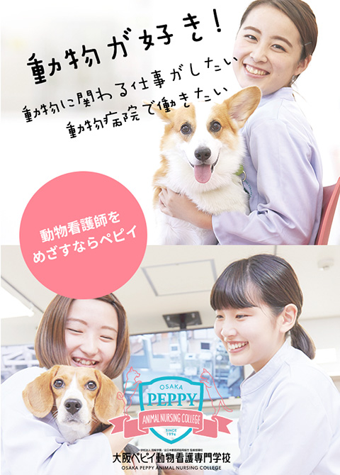 大阪ペピイ動物看護専門学校様 Webサイトリニューアル 制作事例 マーケティングエージェンシー 株式会社oz Link オズ リンク 大阪ペピイ動物看護専門学校様 Webサイトリニューアル 制作事例 マーケティングエージェンシー 株式会社oz Link オズ リンク